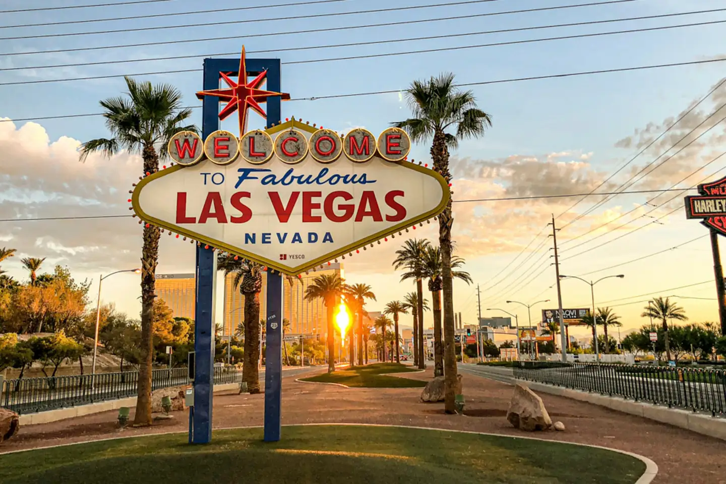 sung-shin-sNLdpqkr2YE-unsplash-MOBILE-HEADER sung-shin-sNLdpqkr2YE-unsplash-MOBILE-HEADER